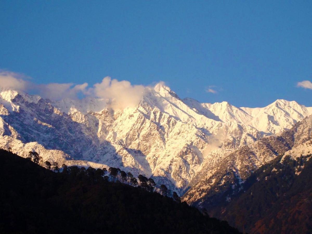 Aaroham Resort By Aamod At Dharamshala ! Luxury Boutique Resort Exterior photo